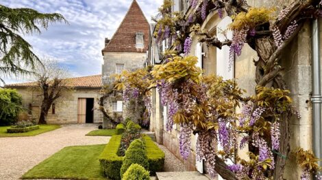 Magisches Trio: Vieux Château Certan (VCC), Le Pin und Clauzel